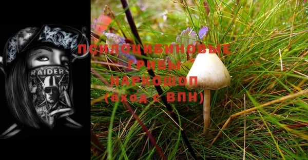 мет Алексин